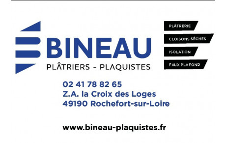 Bineau