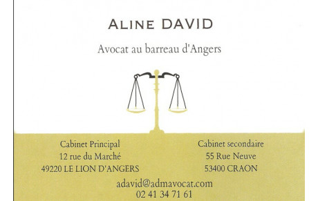 Aline David